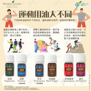 運動用油大不同